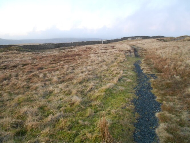 NP17 Fountains Fell,28-12-25 (62)
