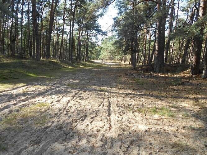 PA6 Signaal Imbosch SOLO, 24-09-25 (18)