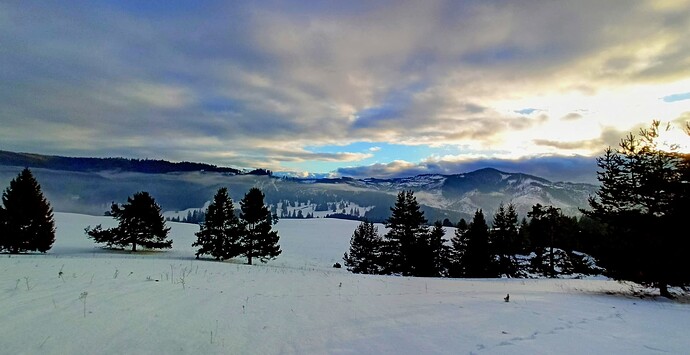 IMG_20260116_150506~2