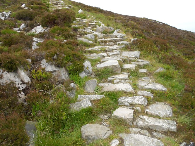 CS5 SCHIEHALLION, 17-06-24 (11)