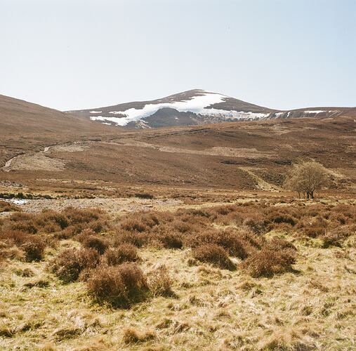 Mount Keen and the snow fields