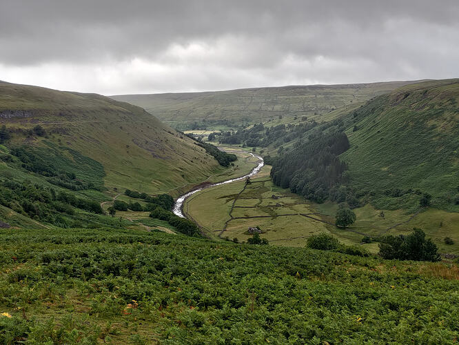 P_20260726_095905