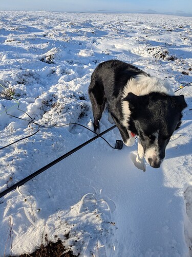 PXL_20260110_1405270771