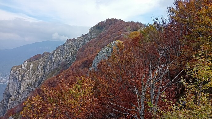 IMG20221015135657