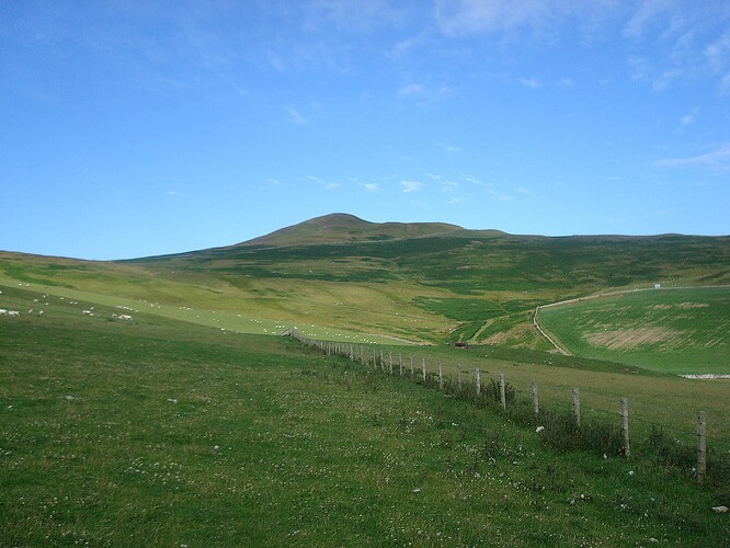 DSC03784