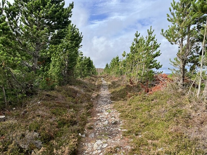 Ascending Carn Daimh