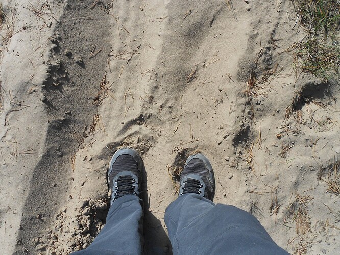 PA6 Signaal Imbosch SOLO, 24-09-25 (13)