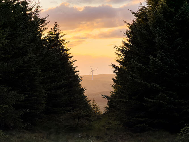 Wind turbines on Ben Thrush viewed through the firebreak descent