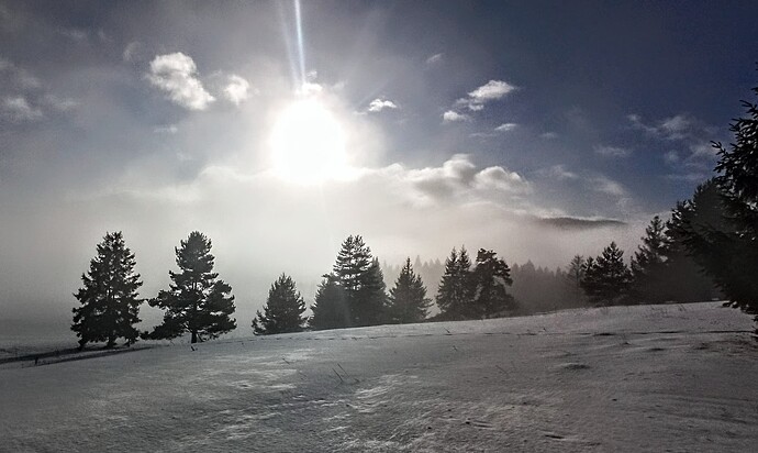 IMG_20260116_134202~2