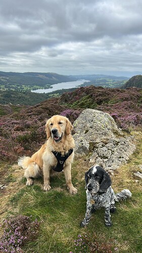2025-0820 Bella Wilbur Holme Fell 1