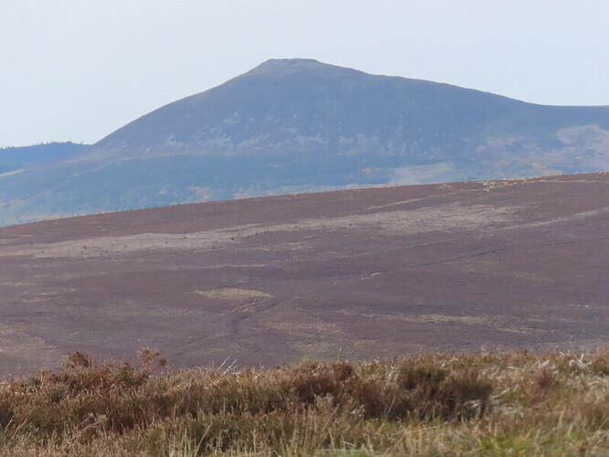 Tap o'Noth from Lord Arthur's Hill