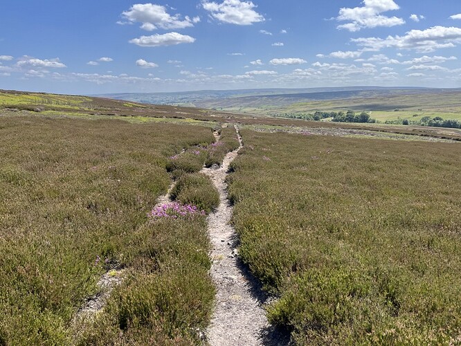Track over the moor