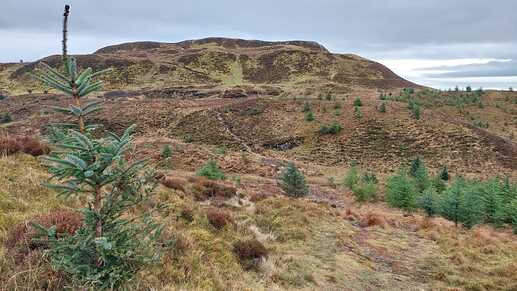 GM7STP-GMWS336-Photo-04