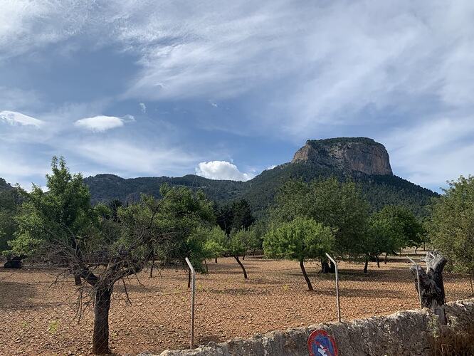 Majorca 2025 10
