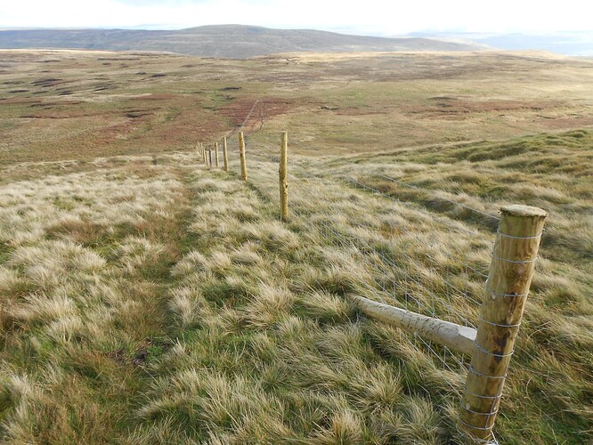 NP6 Gt.Shunner VHF, 22-10-25 (63)