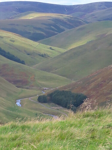 Upper Coquetdale when descending Shilhope Law G/SB-006