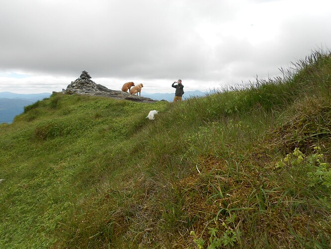 CS15 MEALL nan TARMACHAN, 19-06-23 (72)