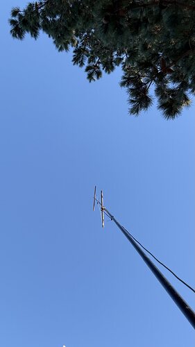IMG_9985