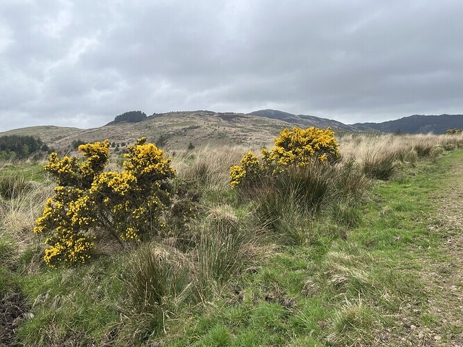 Distant views of Bengairn