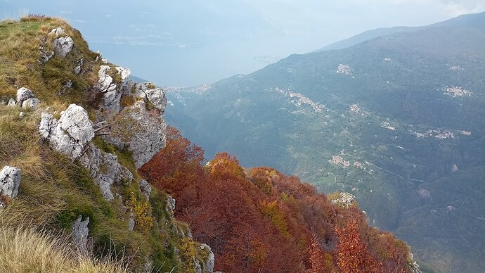 IMG20221015134650