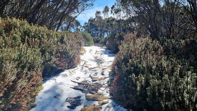 Light covering of snow on the track.