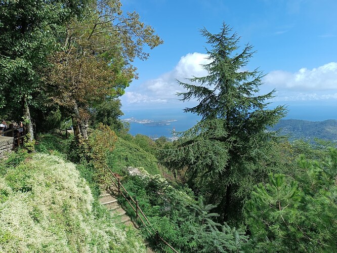 Monte Epomeo (8)