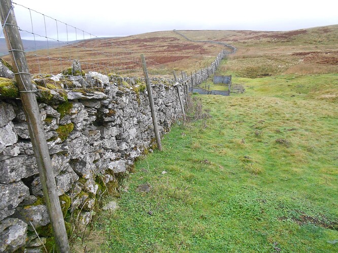 NP26 KISDON on HF, 21-10-25 (45)