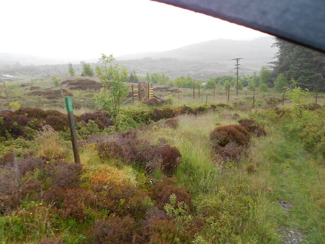 CS100 DUN COILLICH, 15-06-24 (34)