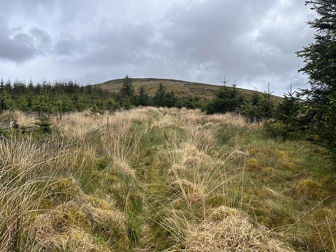 along the border to Peel Fell