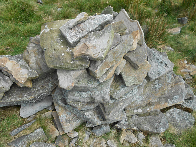NP7 Ingleborough, 27-05-26 (10)