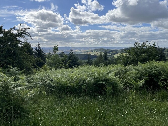 G/WB-012 High Vinnalls limited summit views
