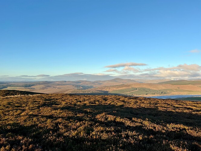 Looking west to Mount Blair