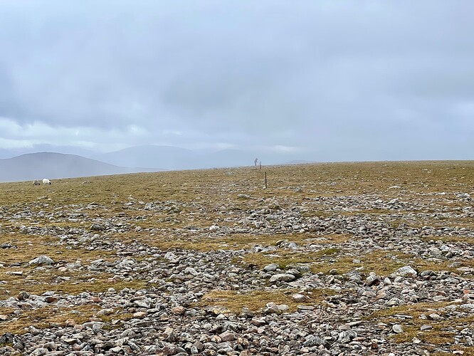 Fraser in the distance setting up