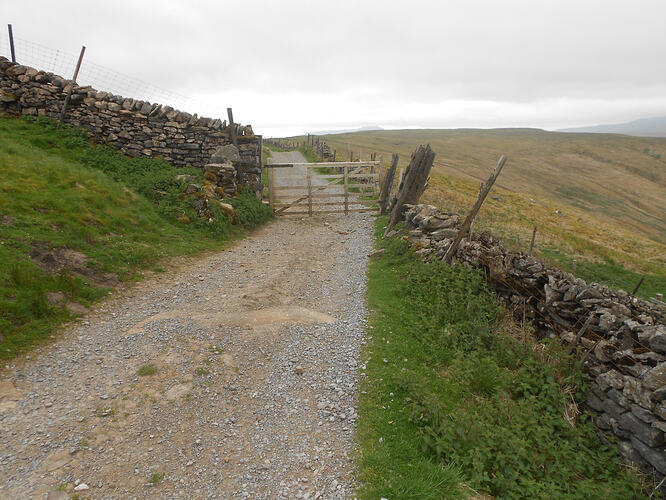 NP16 Dodd Fell, 29-05-26 (4)