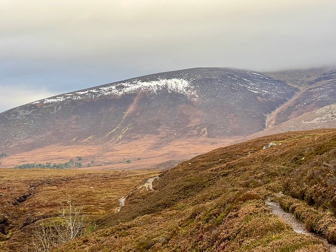 Not much snow left...