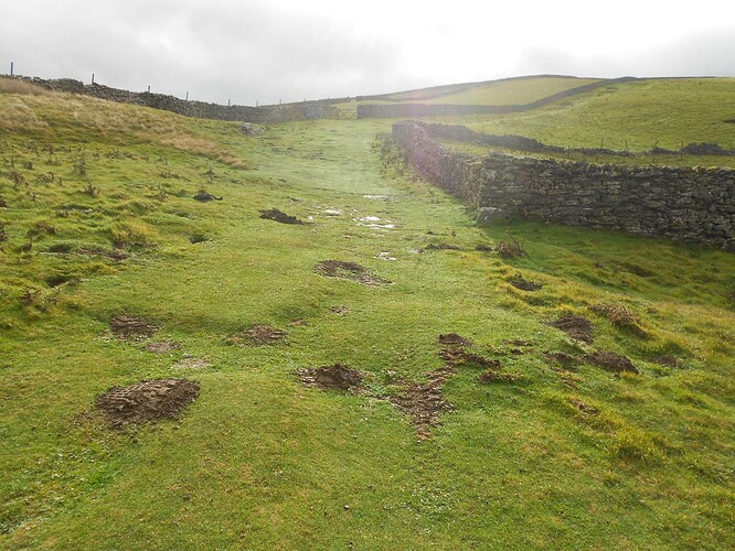 NP26 KISDON on HF, 21-10-25 (9)