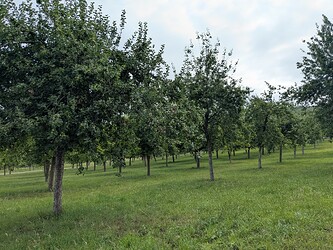 PXL_20250627_080119673