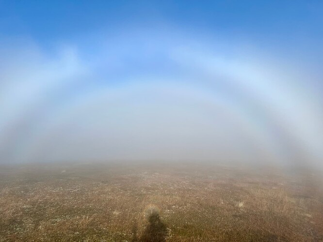 Fog bow