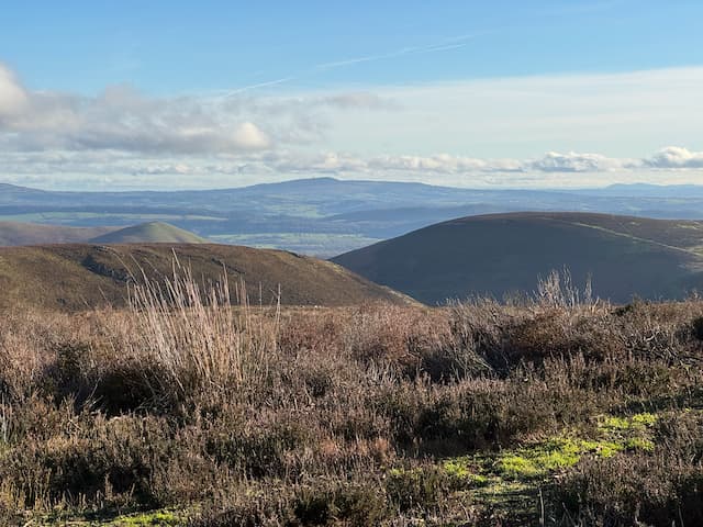 Long Mynd Shack View