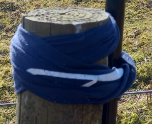 Using a buff as an antenna support