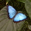 AB7YL