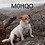M0HQO